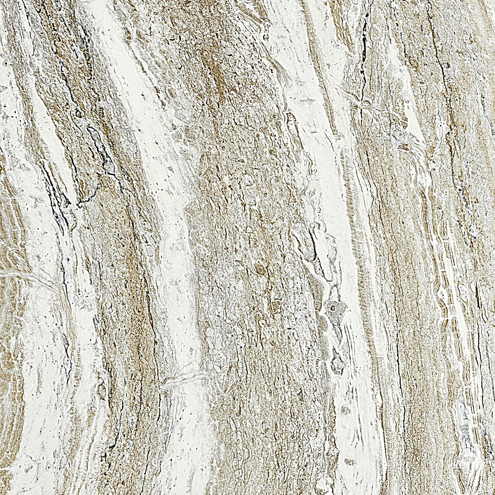 Kalta Faux Stone Finish